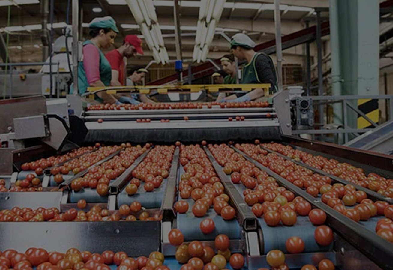 Efectos al pasar el cursor sobre la imagen